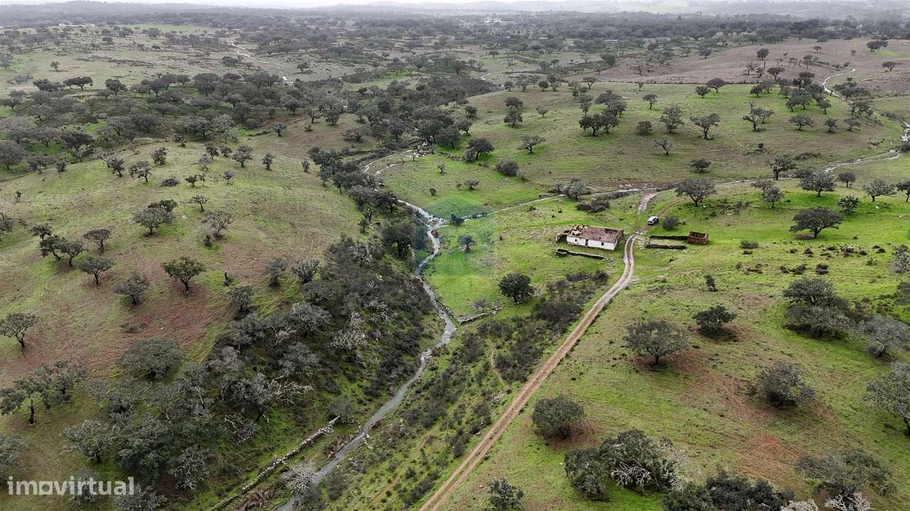 Herdade T4 Venda em Ourique,Ourique - Grande imagem: 5/31