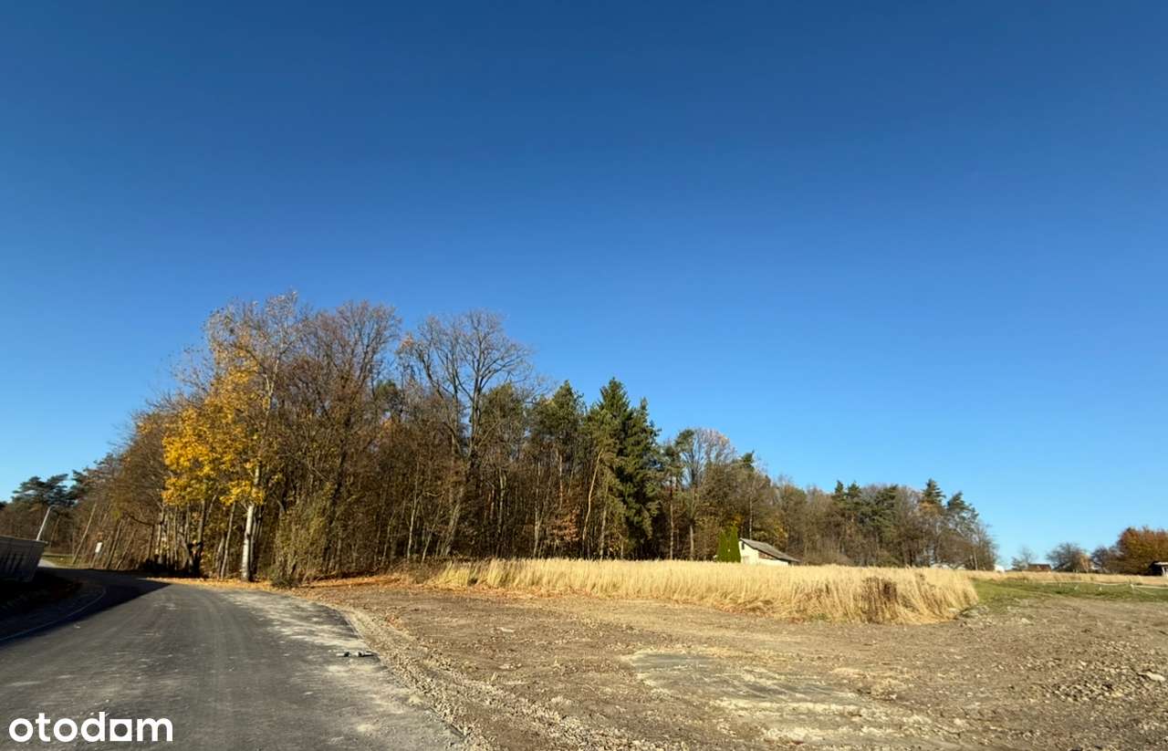 Działka budowlana 0,1279 ha - spokojna okolica - Urzędów - Pełny obrazek: 5/7