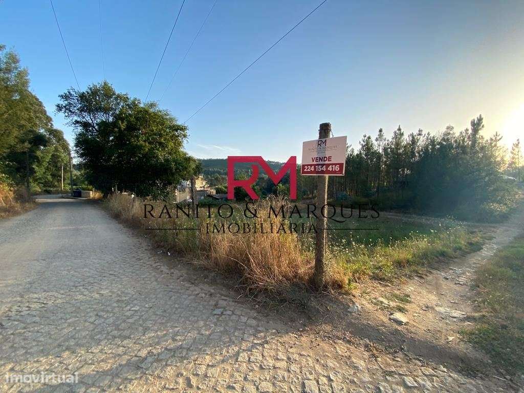 TERRENO COM 13.400 m2 PARA CONSTRUÇÃO - VALONGO - Grande imagem: 5/14
