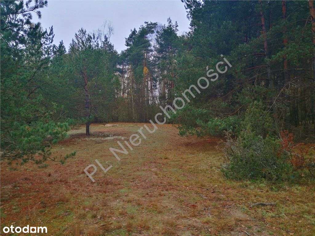 Duża działka przy drodze asfaltowej. - Pełny obrazek: 5/11