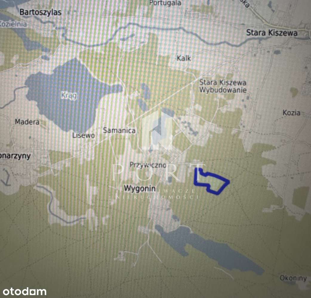 Działka leśna w pięknym miejscu na Kaszubach. - Pełny obrazek: 4/5