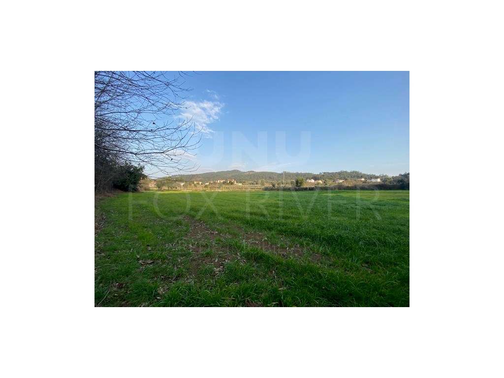 Terreno Agrícola - Subportela - Grande imagem: 3/7