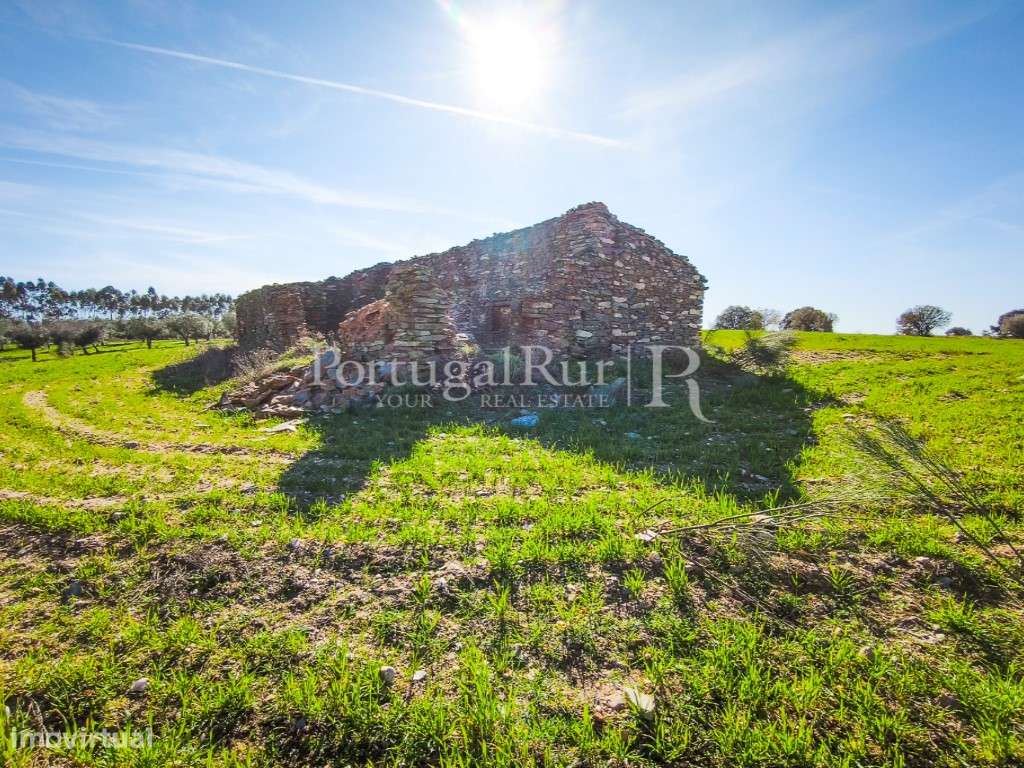 Propriedade Rústica com 132 ha em Rosmaninhal, Idanha-a-Nova-10