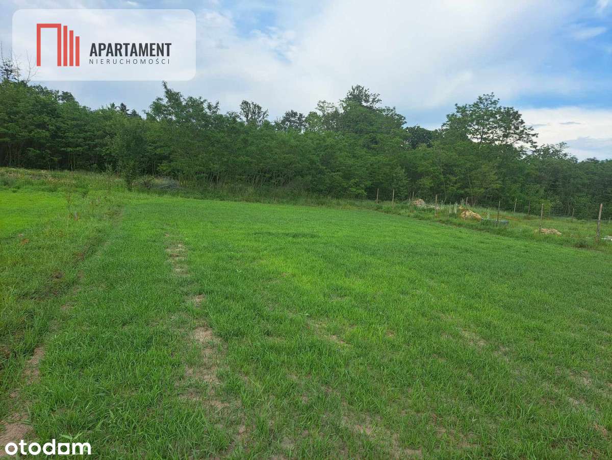 10 ar/budowlana/zielona okolica/30 km od Wrocławia - Pełny obrazek: 5/12