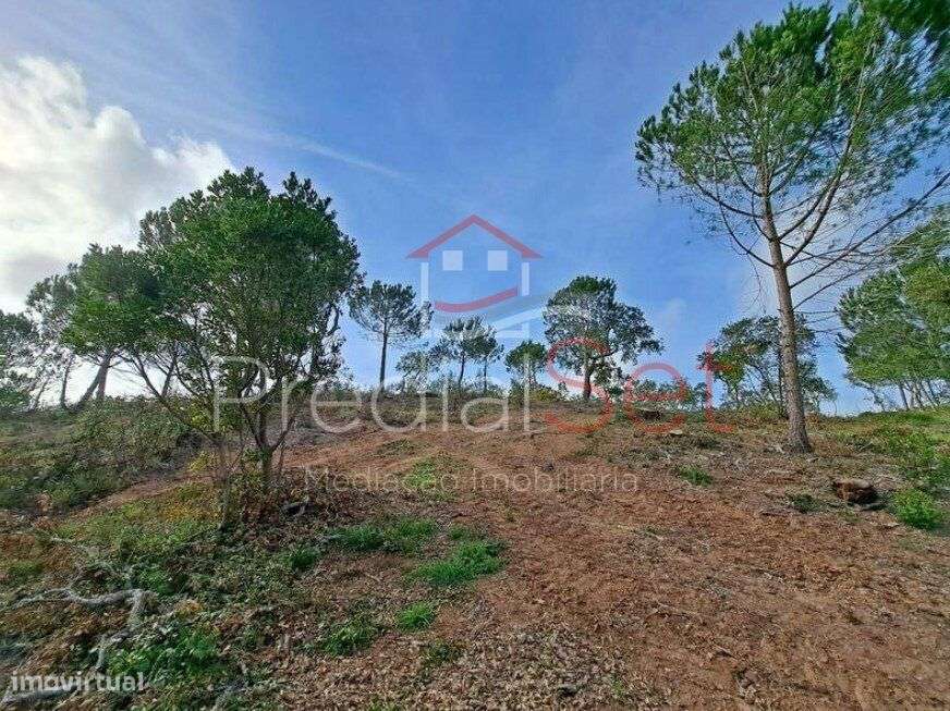Terreno com projeto aprovado-Vista mar e Lagoa em Santa Maria da Serra-8
