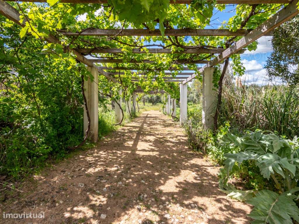Um Refúgio Exclusivo no Coração do Alentejo | Assumar, Portugal-19