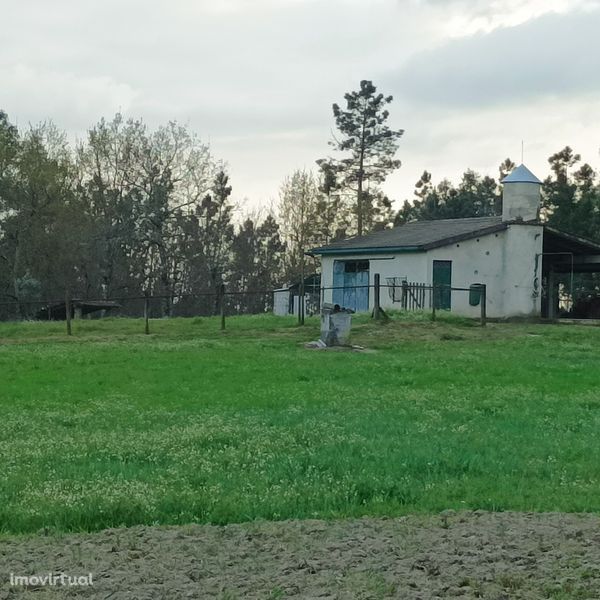 Pequena quinta nas imediações da vila de Sátão