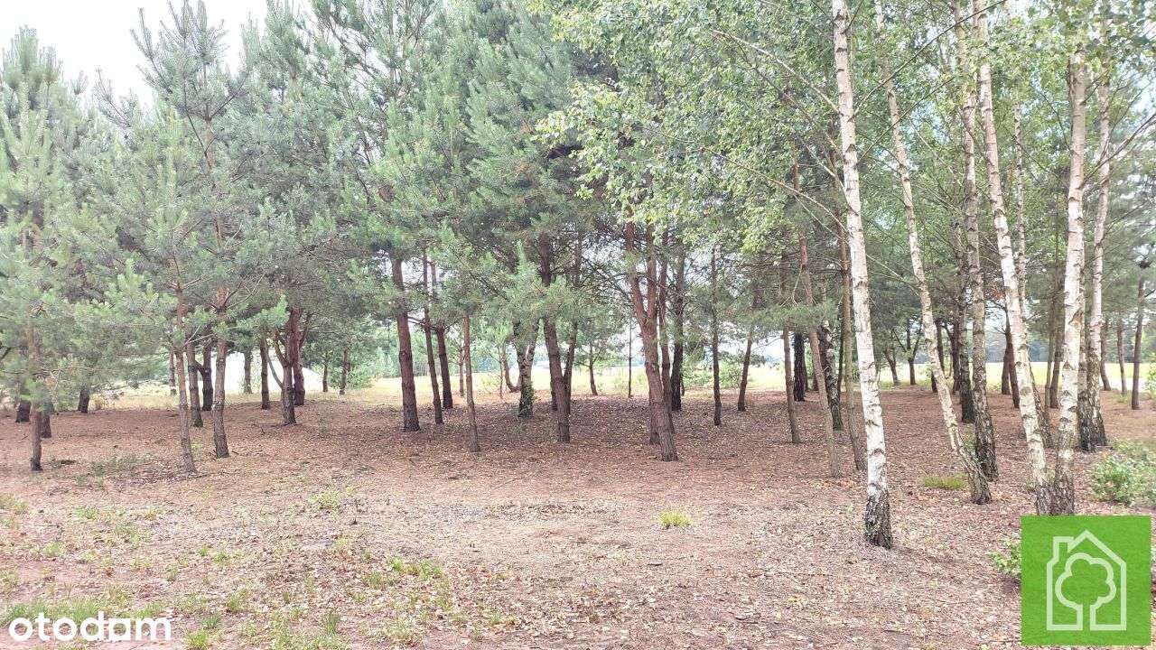 Działka, 1 008 m², Skudzawy - Pełny obrazek: 2/18