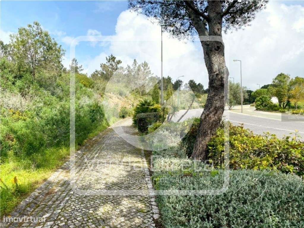 Lote de terreno destinado a construção com 14.006,6m², situado no B... - Grande imagem: 5/21