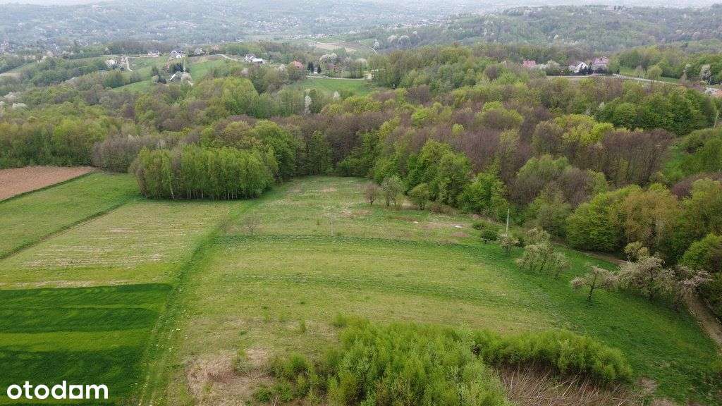 Widokowa działka, 98 arów - Kielnarowa - Pełny obrazek: 4/5