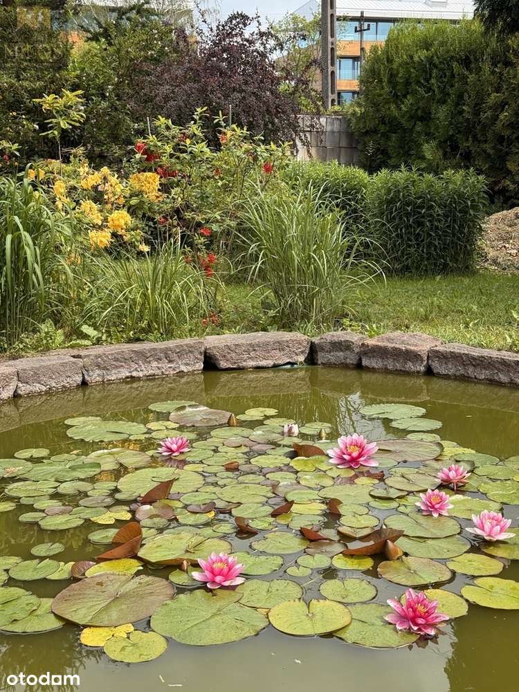 Urokliwa działka z domem w stanie surowym - Pełny obrazek: 4/20