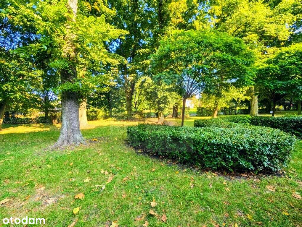 Okazja!!! Kawalerka w Centrum | Balkon-7