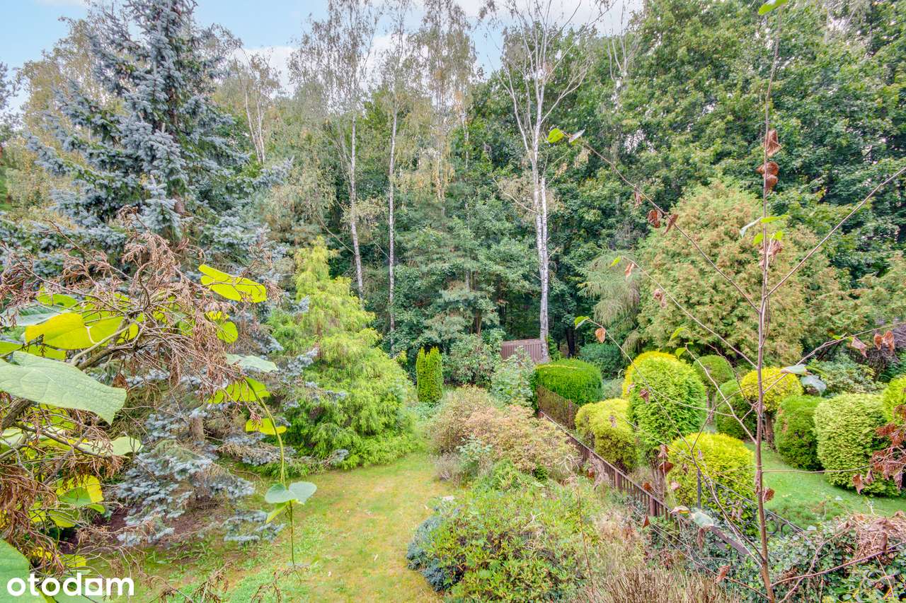 Katowice Bałtycka skrajny, duża działka widok na LAS! CENA OSTATECZNA!-1