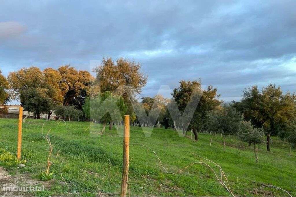 Terreno Urbanizável com 13 hectares em Santiago do Cacém - Grande imagem: 5/13