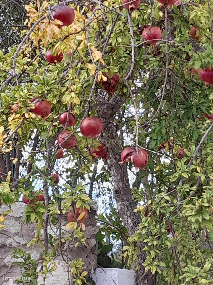 Terreno bem localizado - Grande imagem: 5/16