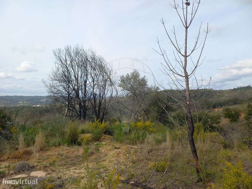 Terreno  para venda - Grande imagem: 4/12