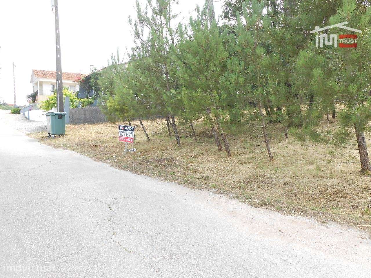 TERRENO PARA CONSTRUÇÃO COM 1640 M2 MUITO BOA LOCALIZAÇÃO BOUCEIROS... - Grande imagem: 5/15