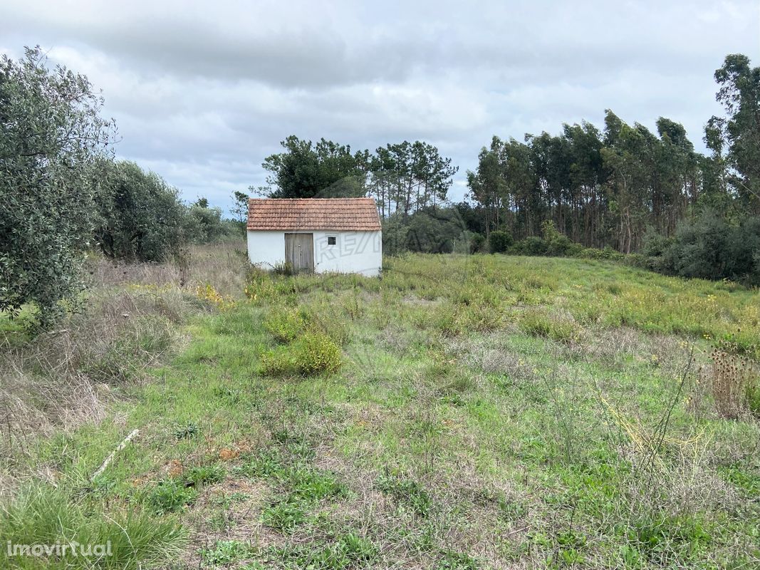 Terreno  para venda