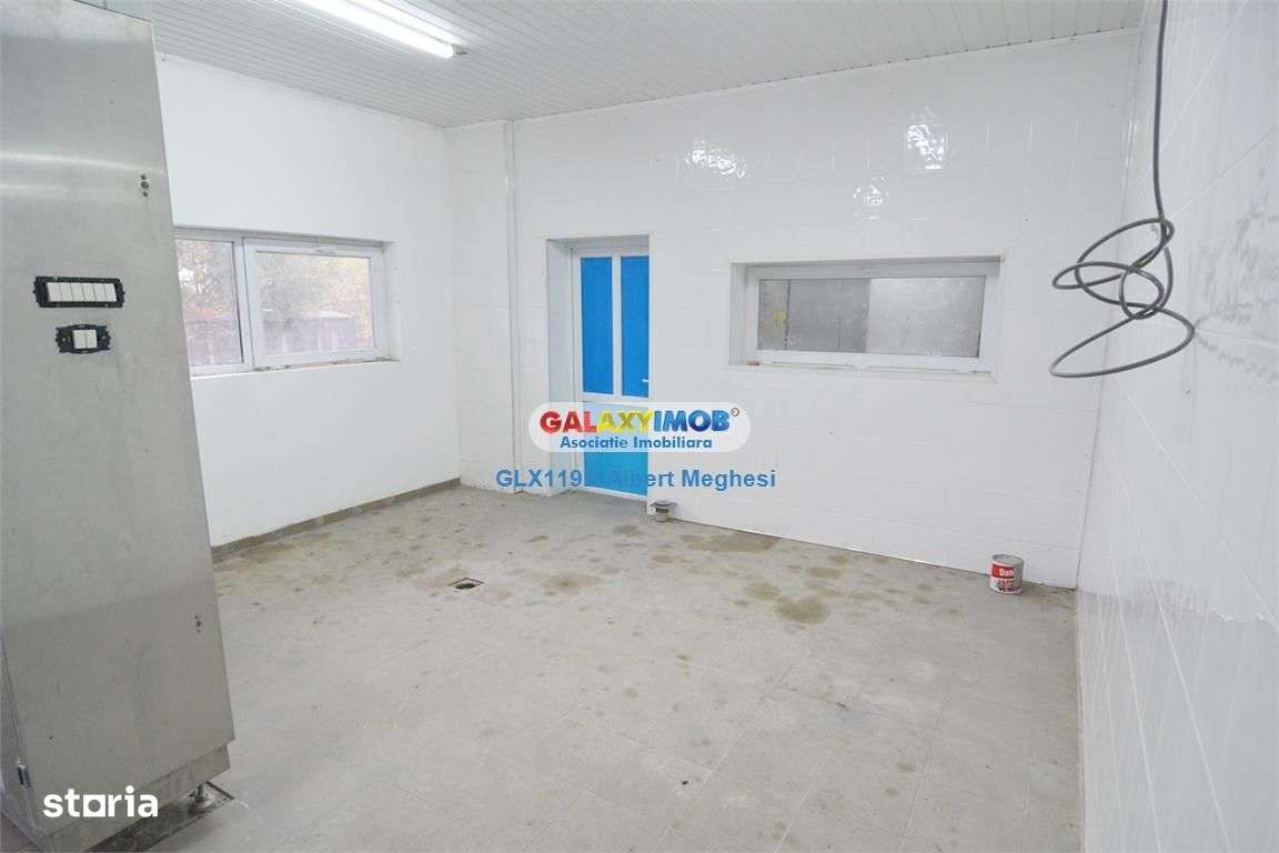 Inchiriere\/vanzare spatiu productie alimentara P-ta Delfinului - Imagine principală: 4/13