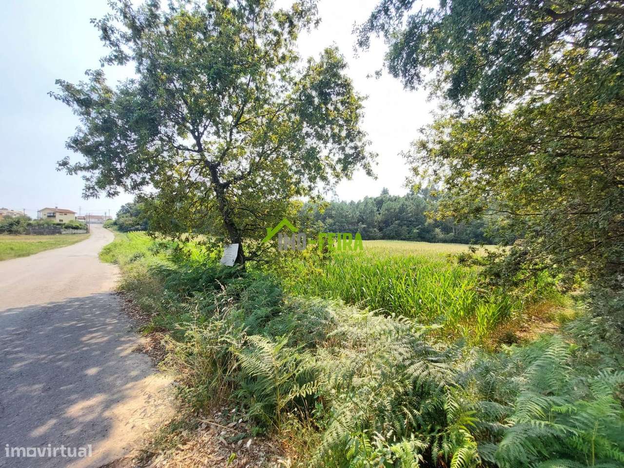 Terreno com PIP aprovado,  Santa Maria da Feira - Grande imagem: 5/12