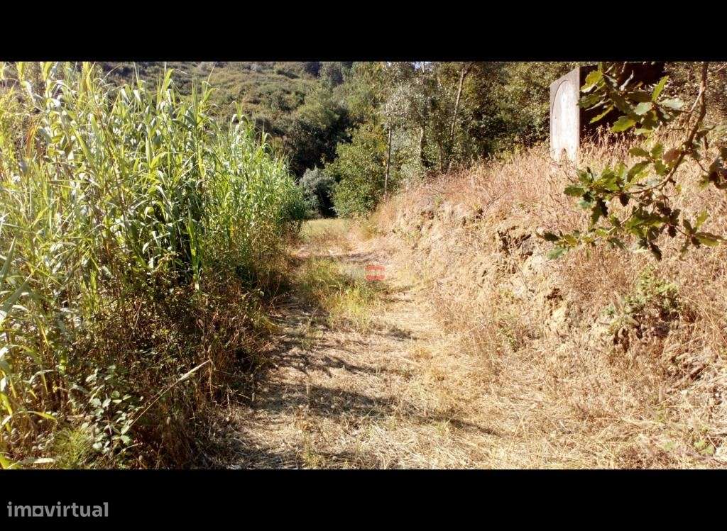 Terreno Rustico com 7400m2 - Grande imagem: 4/7