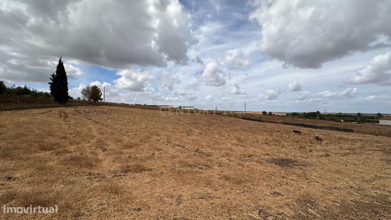 Quinta em Trigaches — 1 hectare em comunhão com a natureza-17