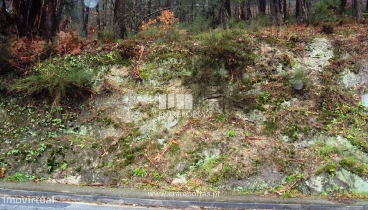 Venda Terreno, Real, Amarante - Grande imagem: 3/6