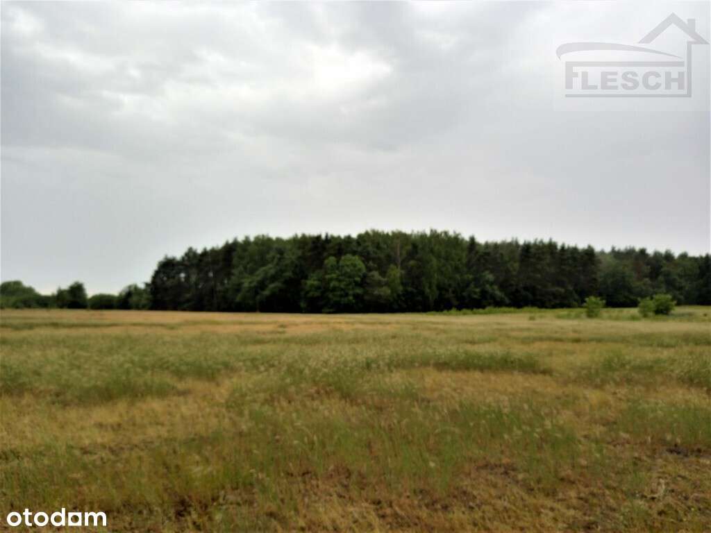Bardzo ładna działka 12ha  Podlindowo Gm Mszczonów-17
