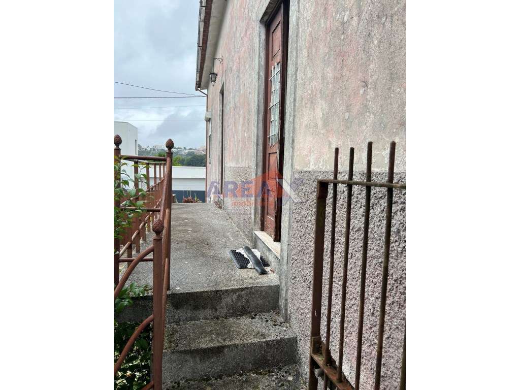 Oportunidade: 2 casas + artigo rústico com 2,0648 ha, perto de Oliv...-13