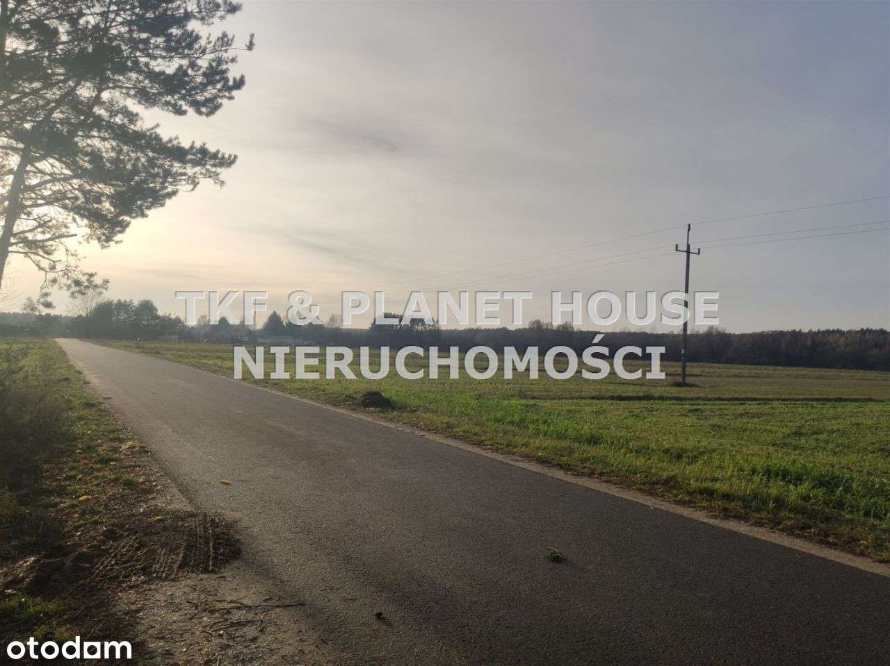 Działka pow. 1,2 ha z Wz Nadole gm.Żarnów - Pełny obrazek: 4/4