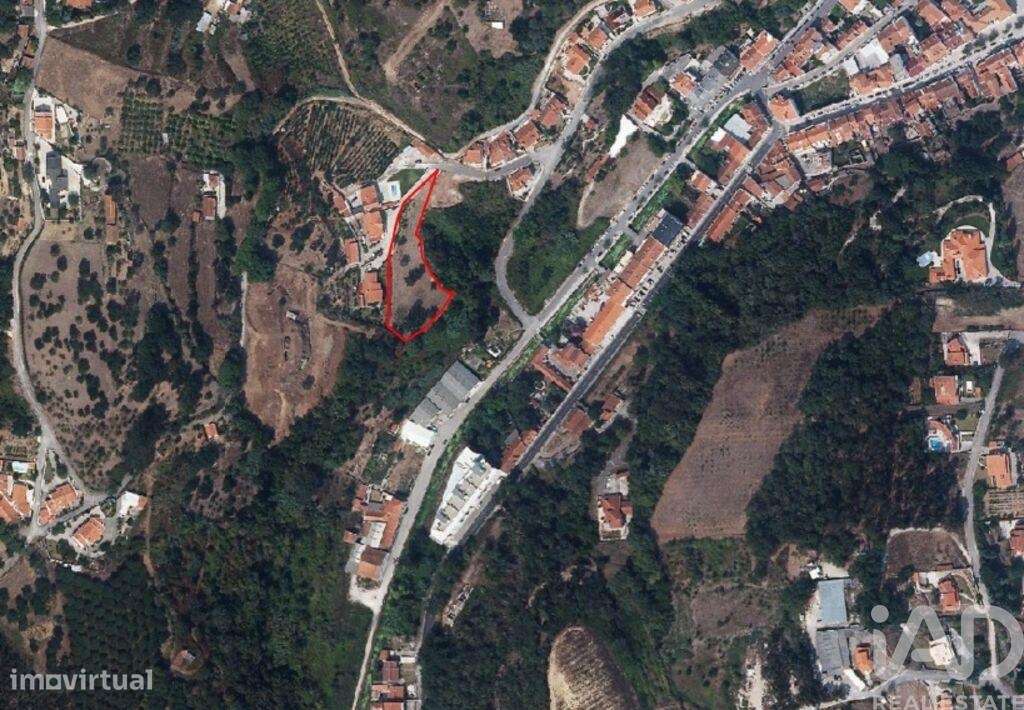Terreno em Alcobaça e Vestiaria de 3454,00 m2 - Grande imagem: 5/6