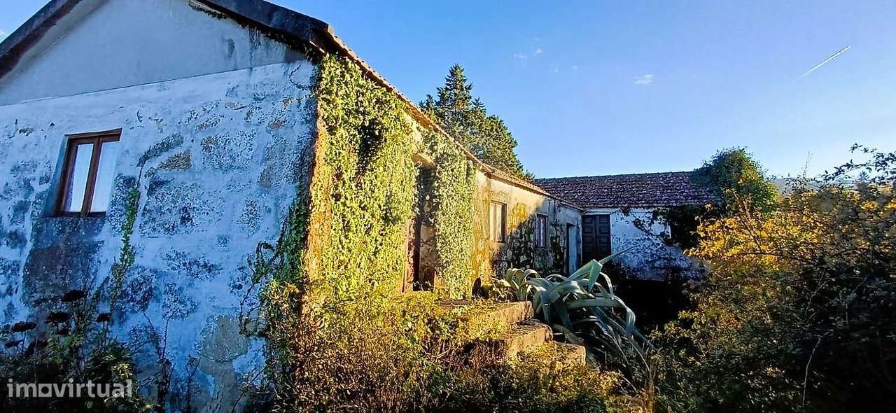 Quinta T10 para venda - Grande imagem: 5/22