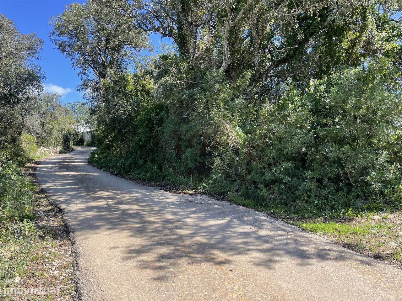 Terreno Rústico para Venda em Santa Bárbara de Nexe - Grande imagem: 4/19