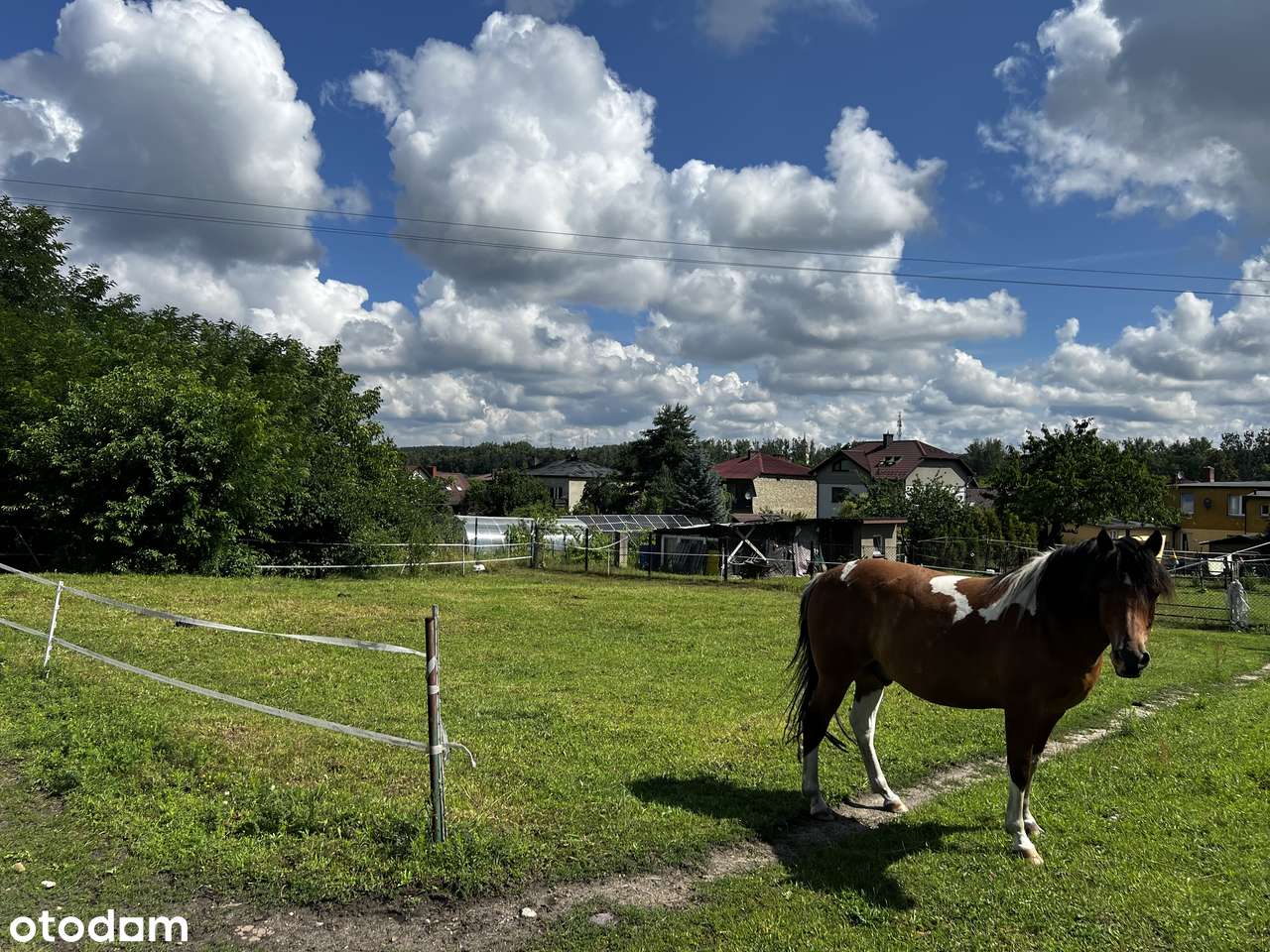 Otoczenie natury, przestrzeń i spokój – działka 3243 m² Dziećkowice - Pełny obrazek: 4/5