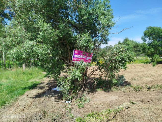 Terreno Urbano à Venda em Ouca – 47 000€-3