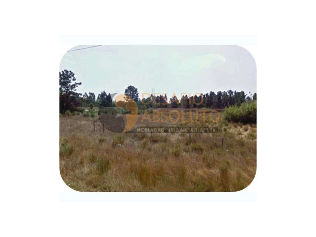 Terreno Rústico 109.000m2 - Pegões - Montijo - Grande imagem: 4/5