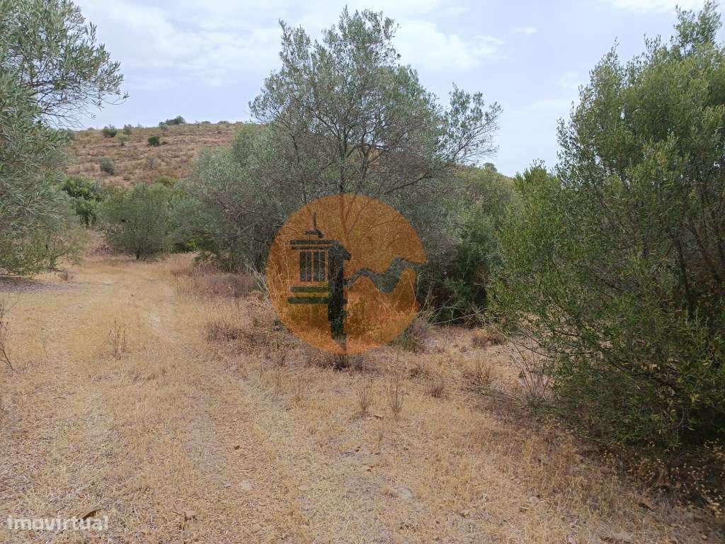 TERRENO RUSTICO COM 640 M2 - PRÓXIMO AOS BALURCOS EM ALCOUTIM - ALG... - Grande imagem: 2/23