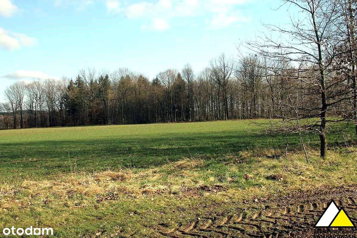 Widokowe działki Pogórze Izerskie - Pełny obrazek: 4/16