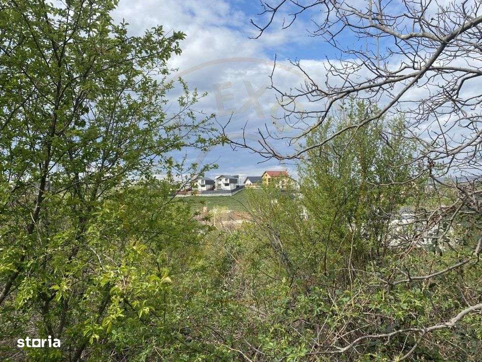 Teren intravilan 1.577 mp in Geamana, Bradu - Imagine principală: 5/7