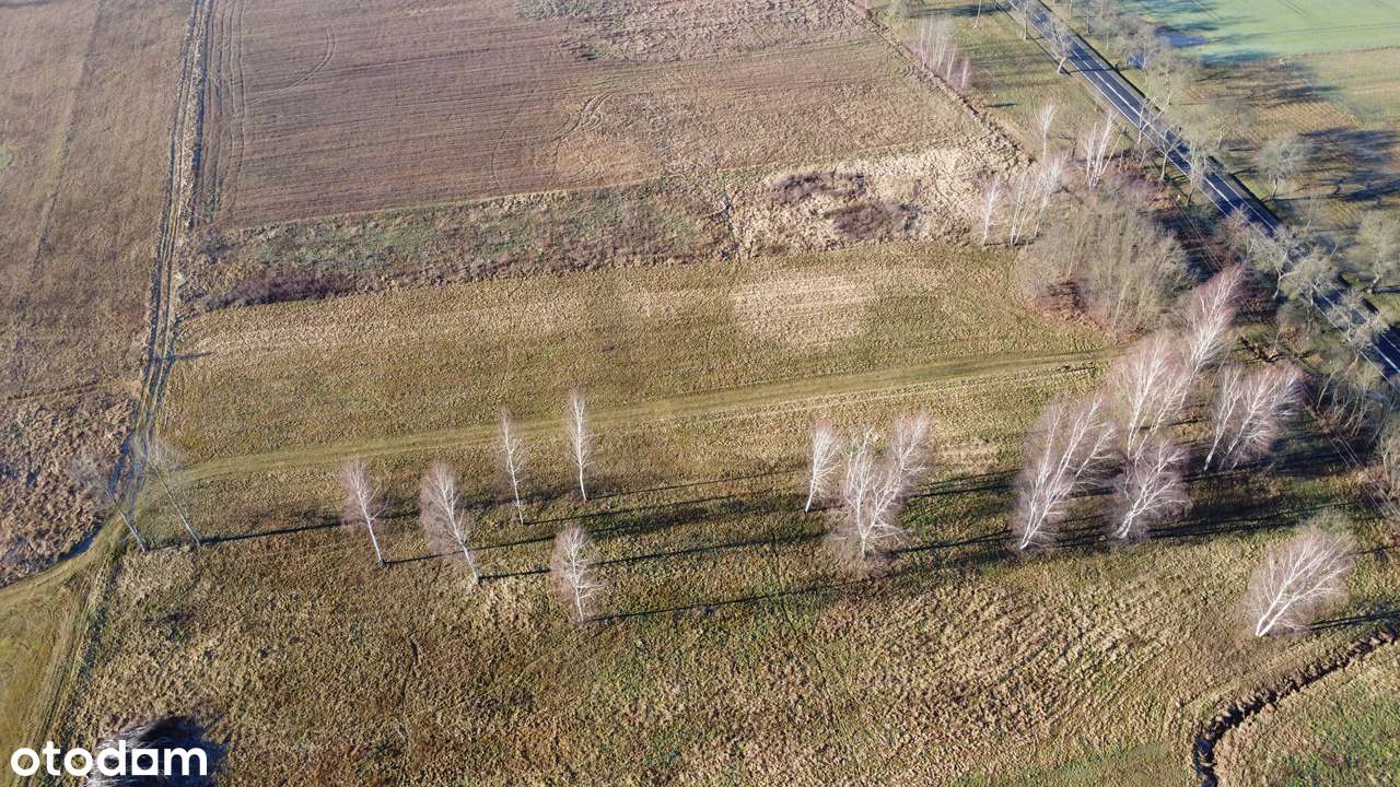 Działka inwestycyjna w m. Lipinki Łużyckie-3