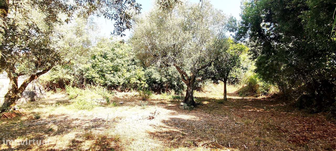 Terreno para construção de moradia em Geria, às portas da cidade de Co - Grande imagem: 5/6