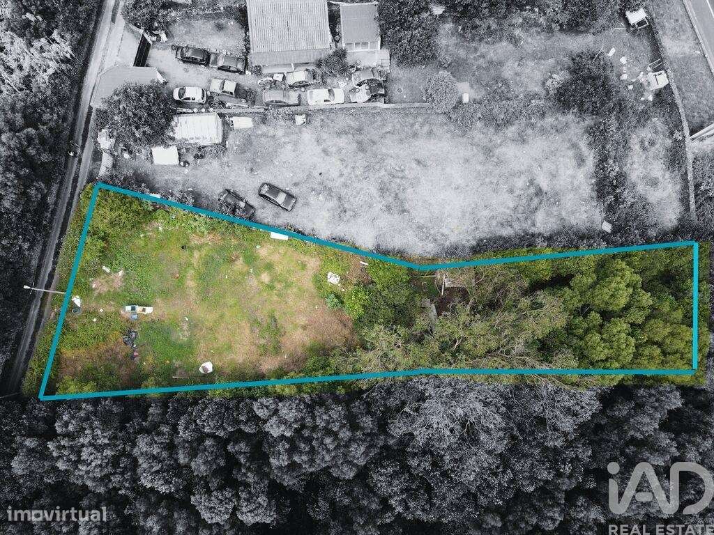 Terreno Agrícola em Lagoa (Nossa Senhora do Rosário) - Grande imagem: 3/9