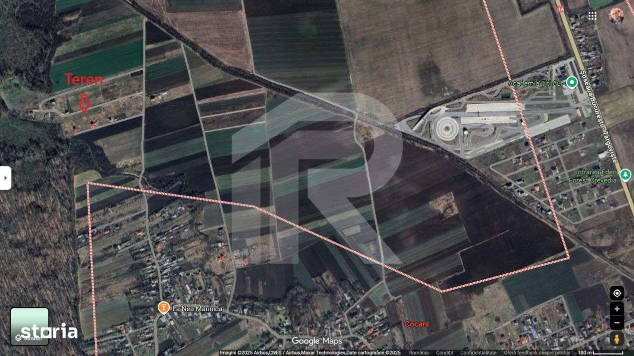 Refugiu la marginea padurii — 1000 mp de liniste in Cocani. - Imagine principală: 1/11