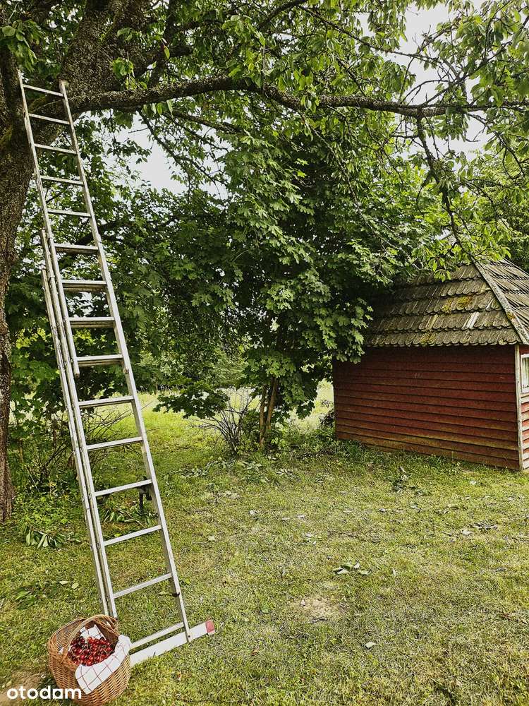 Wyjątkowa rezydencja w sercu natury – 5 ha prywatnej przestrzeni-6