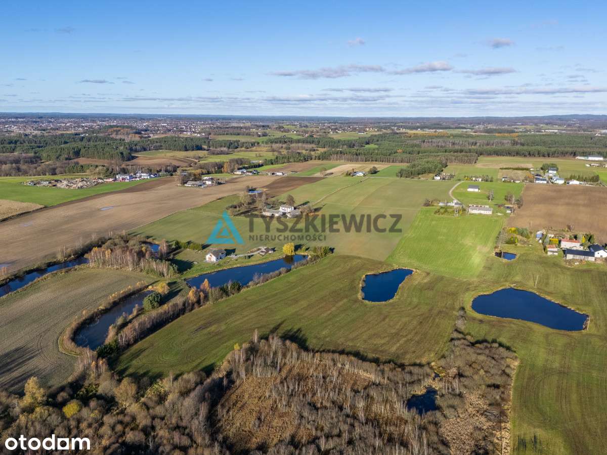 Siedlisko z 3 stawami Wielki Klincz - Unikat - Pełny obrazek: 5/20