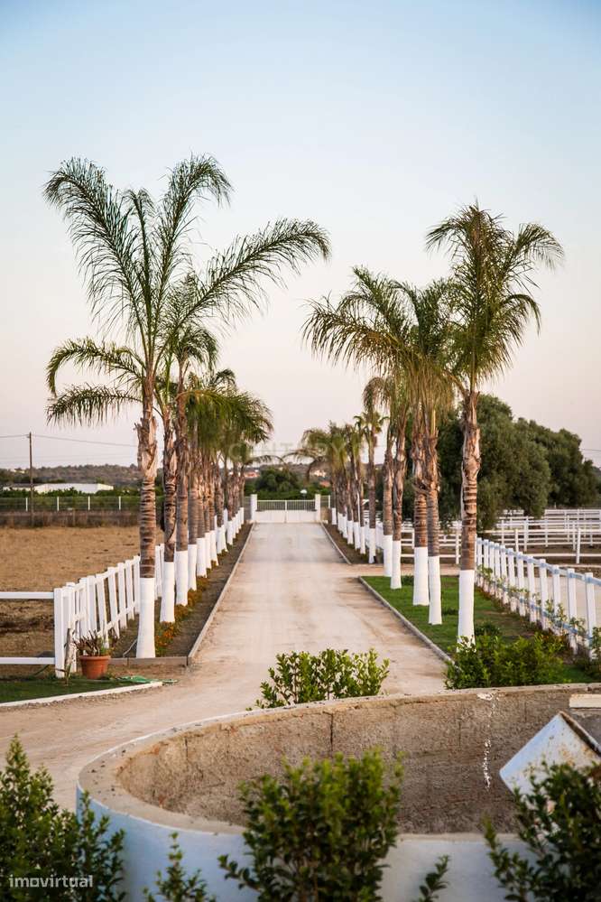 Magnifica Quinta em  Olhão, Faro - 10 Quartos e 11 Casas de Banho - Grande imagem: 2/52