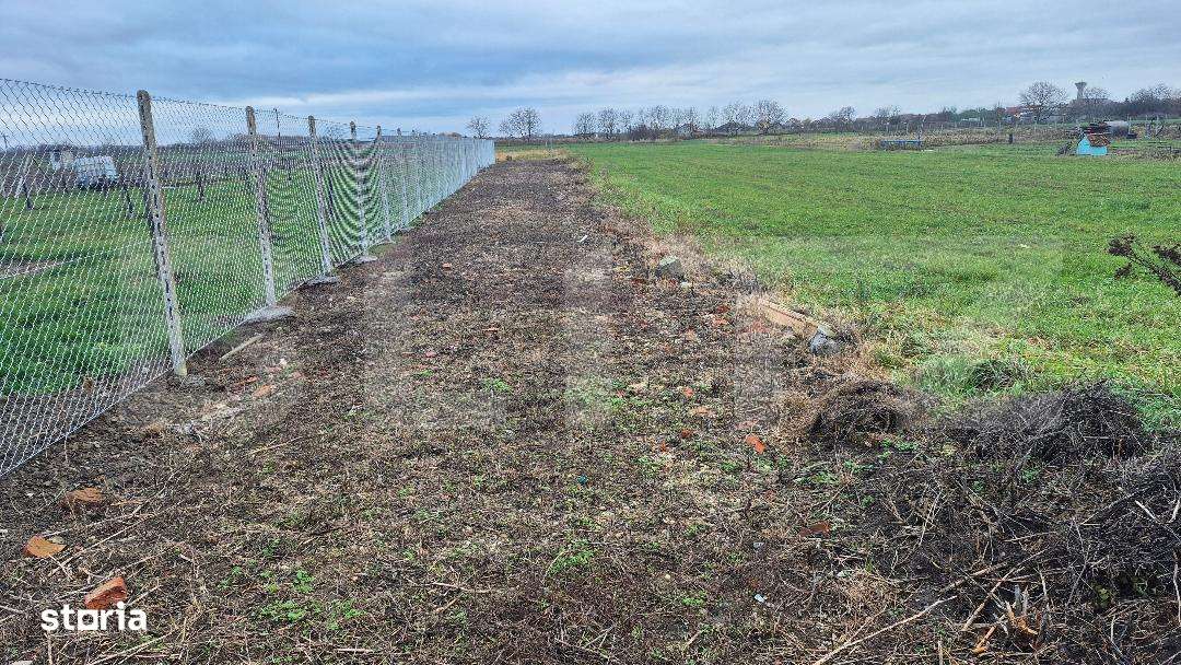 Teren intravilan de vanzare, 15 ari, in Odoreu - Imagine principală: 3/3