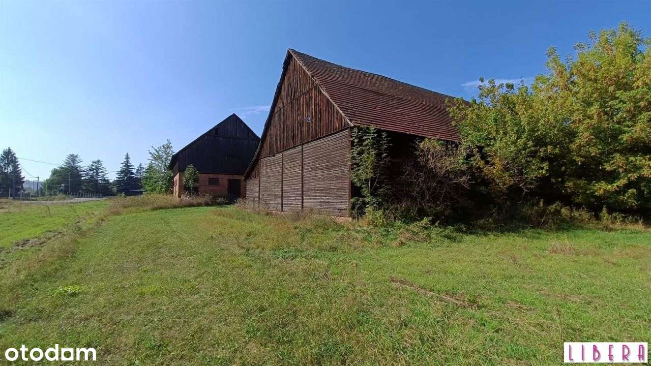 Tylko u nas! Gospodarstwo rolne, Łęgnowo - Pełny obrazek: 5/16