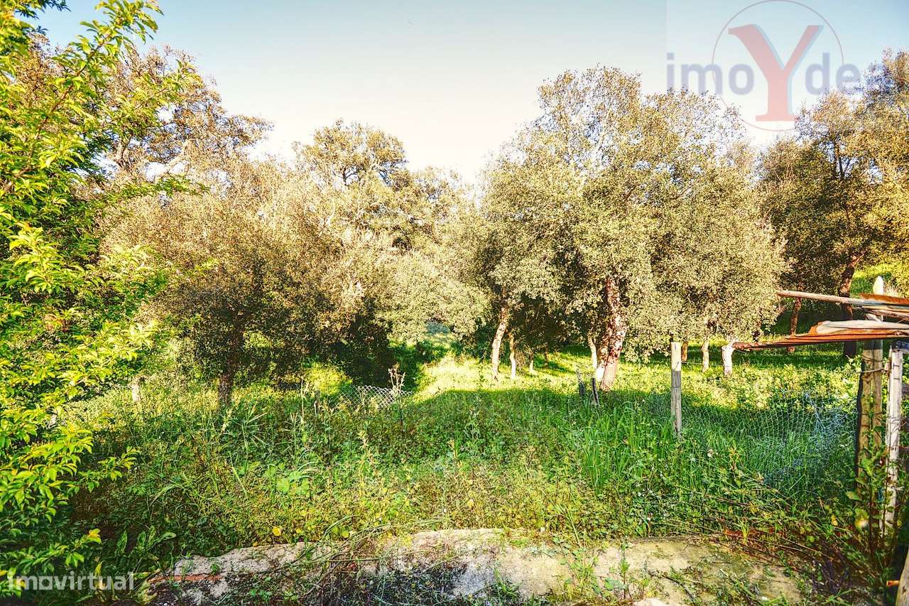 Quinta em Melides-28