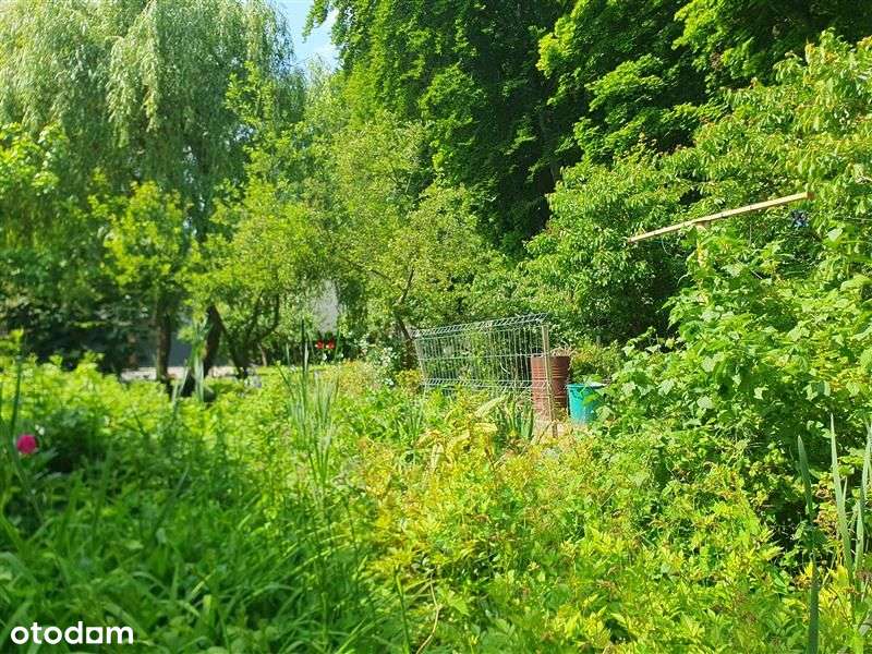 Dom wolnostojący - Gdańsk Wrzeszcz-12